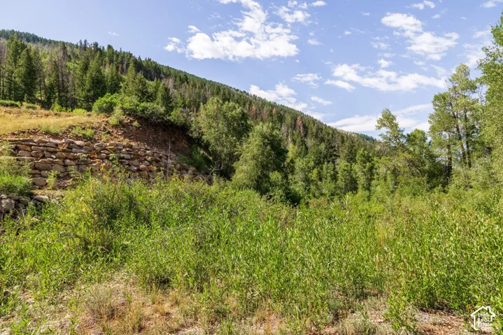 2600 E Weber Rd, Oakley, Utah 84055