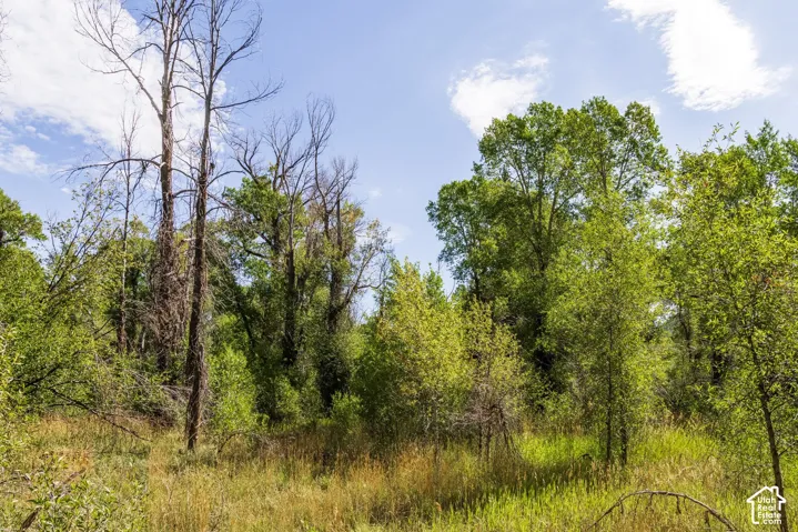 2600 E Weber Rd, Oakley, Utah 84055