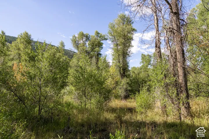 2600 E Weber Rd, Oakley, Utah 84055