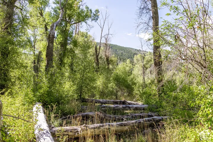 2600 E Weber Rd, Oakley, Utah 84055
