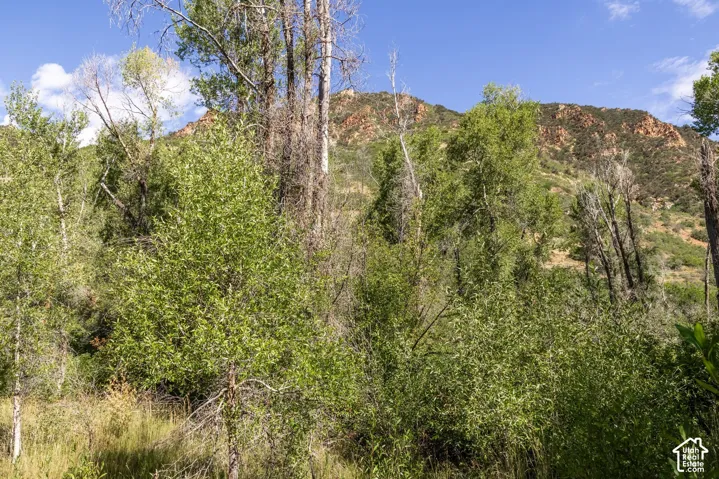 2600 E Weber Rd, Oakley, Utah 84055