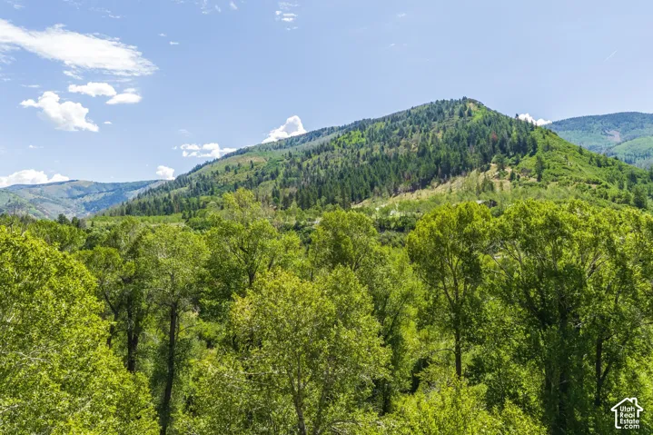 2600 E Weber Rd, Oakley, Utah 84055