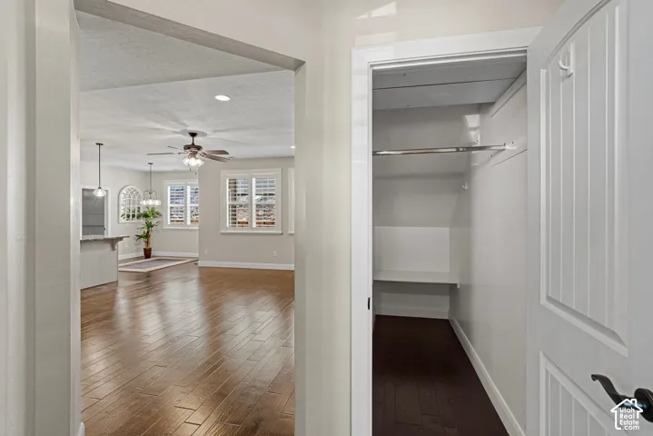 Spacious entry closet with built-in shelving, wood-finish flooring, and a decorative paneled door