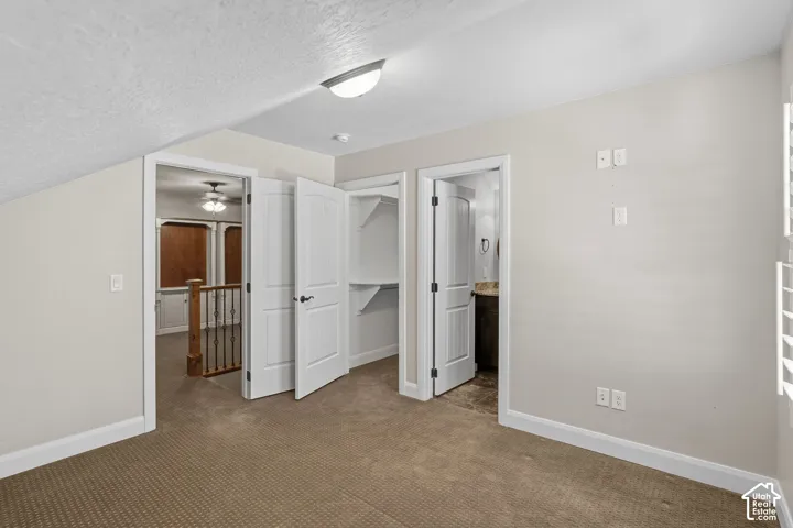 Carpet flooring, white painted walls, white doors, built-in shelving, and a ceiling-mounted light fixture