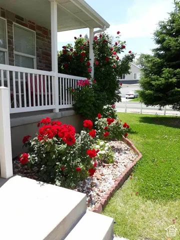 Front porch with white railings, stone siding, and a decorative garden bed featuring red roses and white rock landscaping