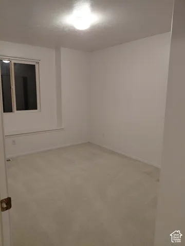 Neutral wall finishes