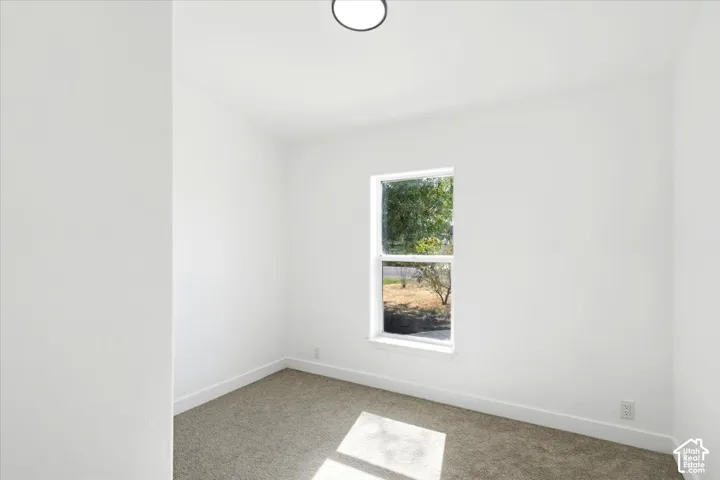 Bright, naturally lit bedroom featuring neutral wall finishes, carpet flooring, and a window framing outdoor scenery