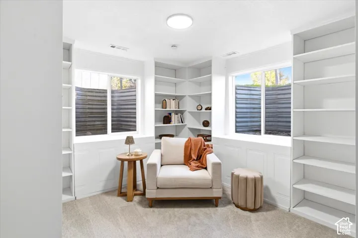 Built-in shelving, two windows, carpet flooring, and recessed lighting