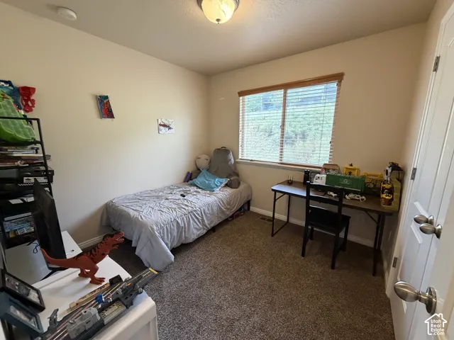 Wall-to-wall carpeting, single window with blinds, and a built-in ceiling light fixture