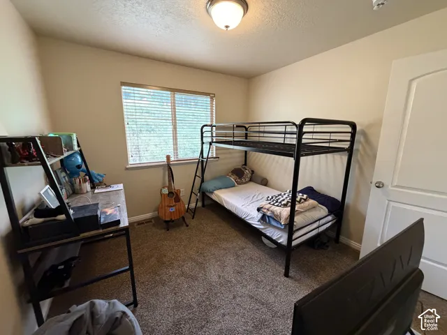 Carpeted room with a double-pane window, white blinds, and a flush-mount ceiling light