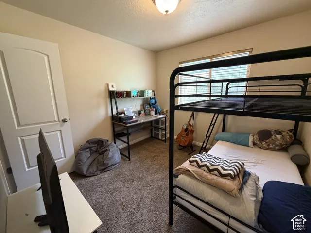 Carpeted flooring, window with blinds, and white interior door