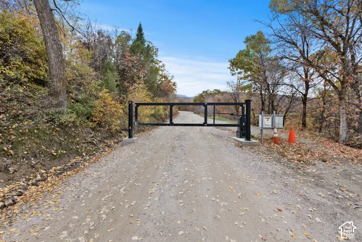 Gravel driveway with a black metal gate and surrounding mature trees