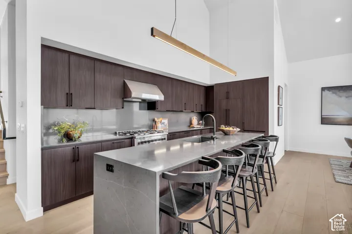 Modern kitchen featuring dark wood-finish cabinetry, a large center island with a built-in sink, stainless steel range with matching hood, and light wood-finish flooring