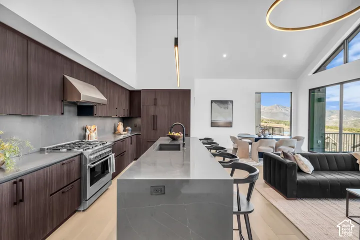 Kitchen featuring dark wood-finish cabinetry, a large range with a stainless steel hood, an expansive island with a built-in sink, and light wood-finish flooring