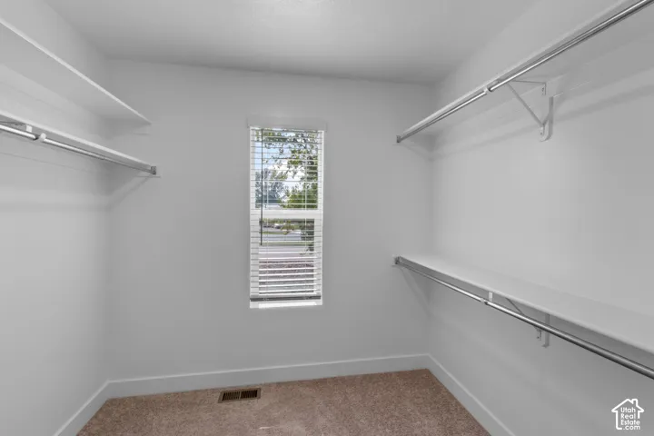 Walk-in closet with carpet flooring, white walls, built-in shelving, and a window with blinds