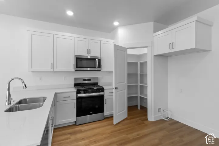 White shaker-style cabinetry, stainless steel appliances, dual basin sink with a high-arch faucet, ample pantry shelving, and wood-finish flooring