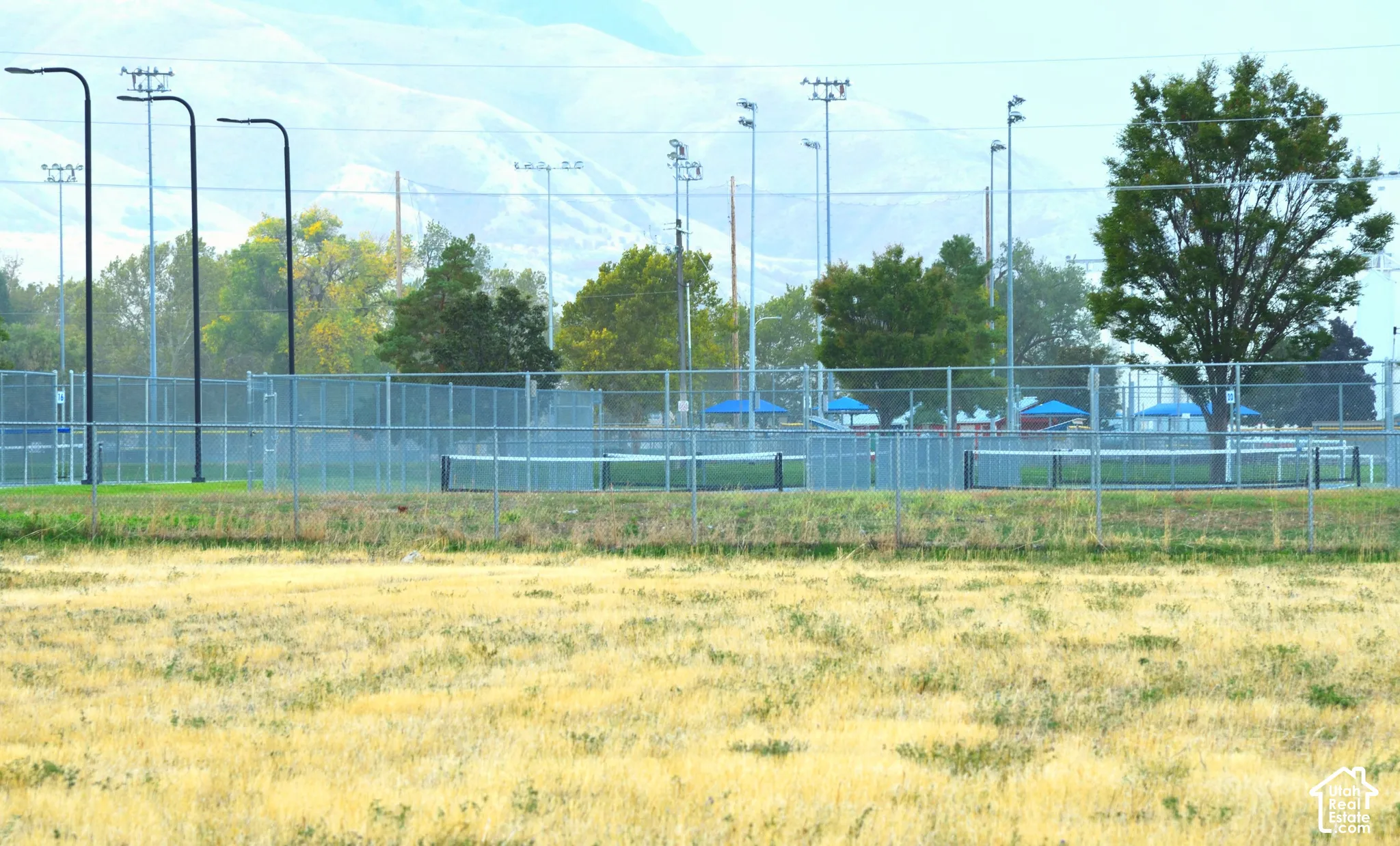 View of the park with pickle ball courts across the street