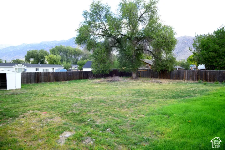 Large back yard with mature tree, and storage shed.