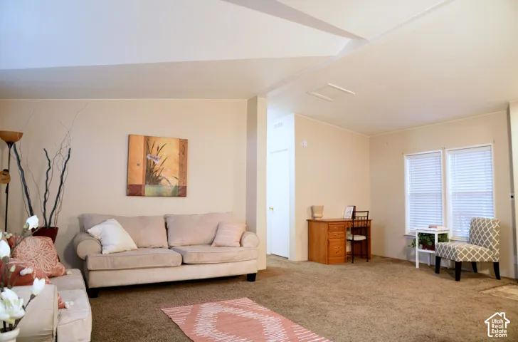 Carpeted living area with light-toned walls and multiple windows