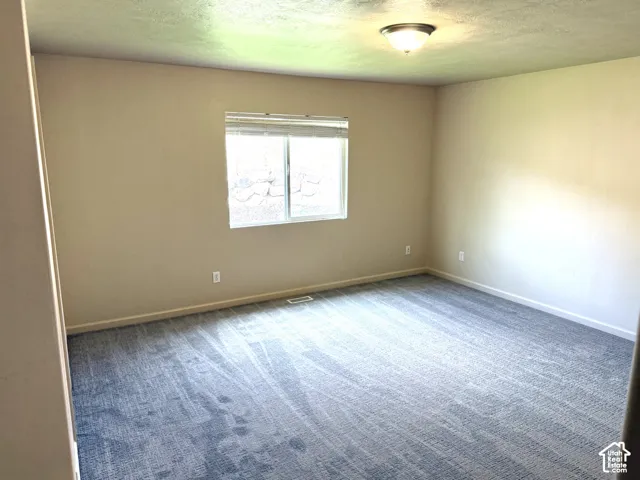 Window with blinds, flush mount ceiling light fixture, and patterned carpet flooring