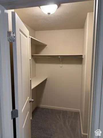 Recessed closet with integrated shelving, hanging rod, and carpet flooring