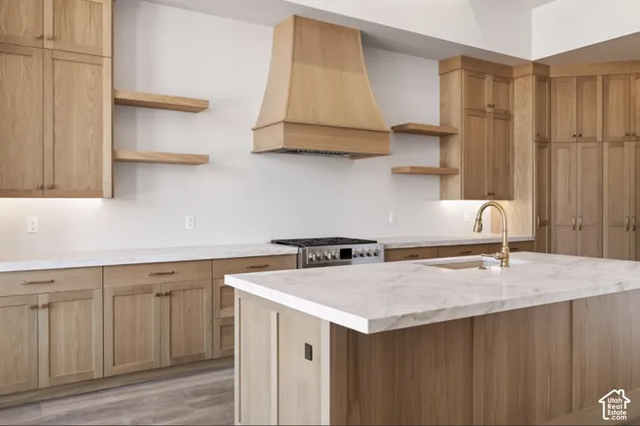 Light wood-finish cabinetry, light-toned countertops, integrated sink, brass-finish faucet, and stainless steel range