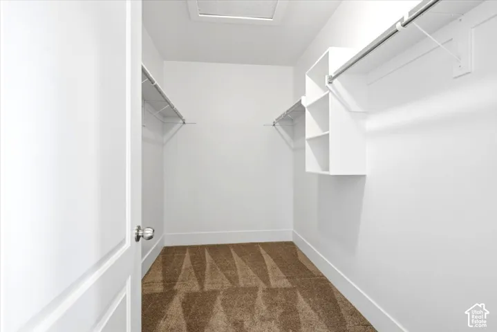 Walk-in closet with carpet flooring, white walls, built-in shelving, and metal hanging rods