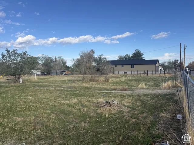 Expansive open lot featuring native grasses, mature trees, and perimeter chain-link fencing
