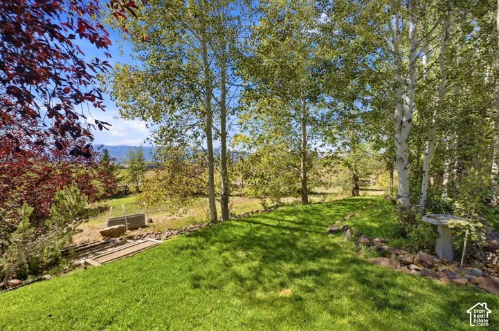 Expansive green lawn with mature trees and natural stone accents