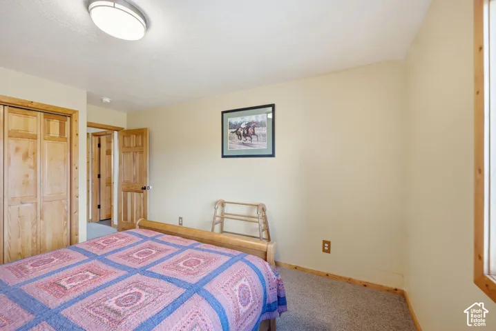 Carpeted flooring, natural wood doors, and a ceiling-mounted light fixture