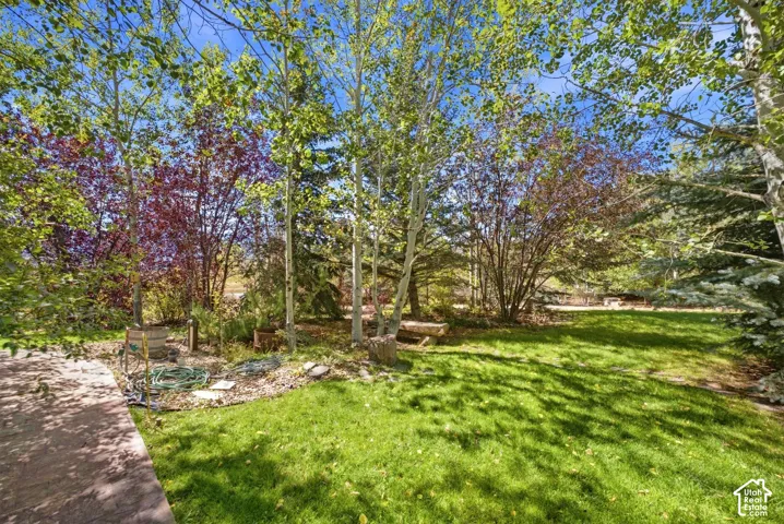 Expansive green lawn surrounded by mature trees, featuring a paved pathway and natural stone accents