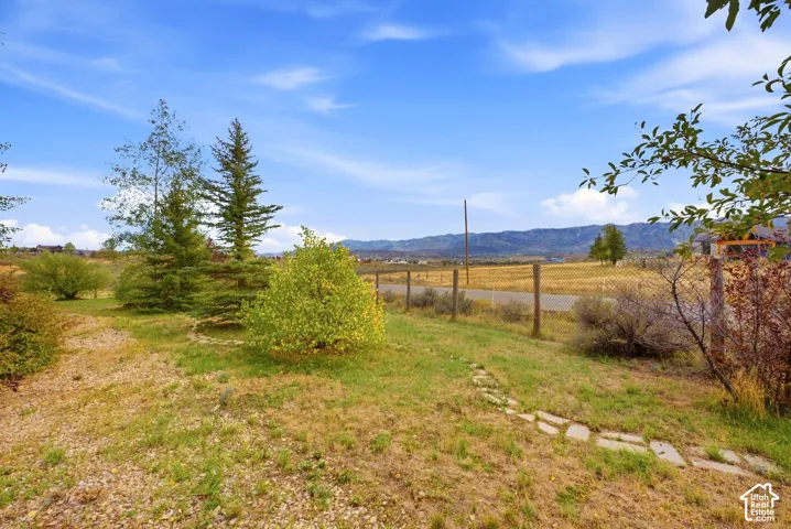 Expansive outdoor space featuring mature trees, diverse plantings, and a stepped stone pathway