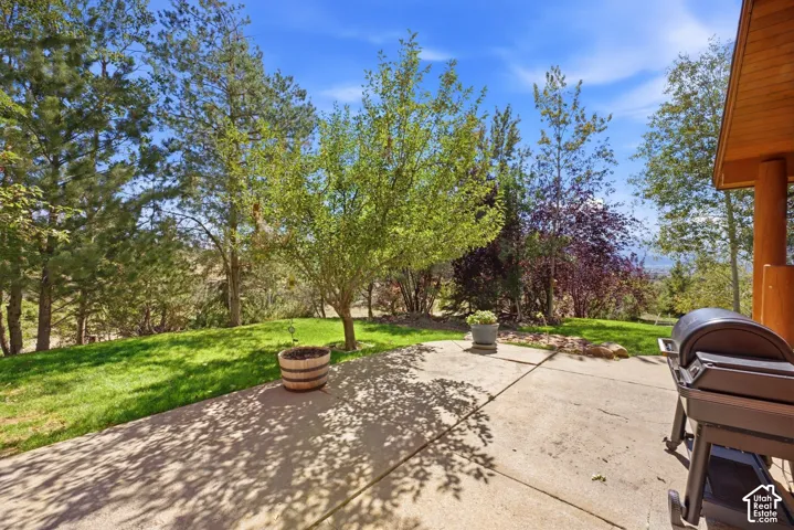 Concrete patio space with surrounding lawn and diverse mature trees
