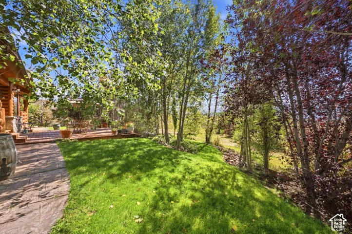 Expansive lawn area with mature trees, a stamped concrete path, and a wood deck