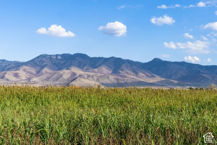 Expansive natural landscape featuring mature mountain ranges and a substantial field of vegetation