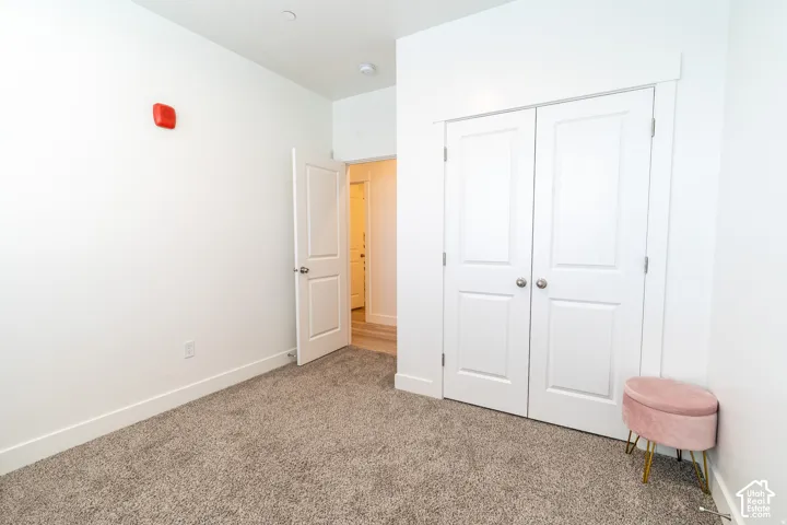 Carpeted flooring, white interior doors, and bi-fold closet doors