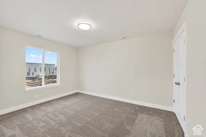 White painted walls, carpeted flooring, a flush-mount ceiling light fixture, and a white paneled door