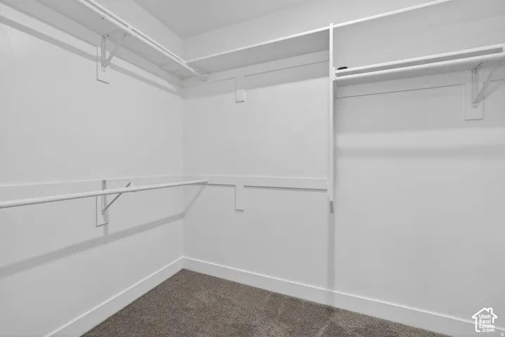 Built-in closet shelving, hanging rods, and neutral-toned carpet