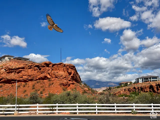 Red rock outcroppings, native desert vegetation, and mountain backdrop