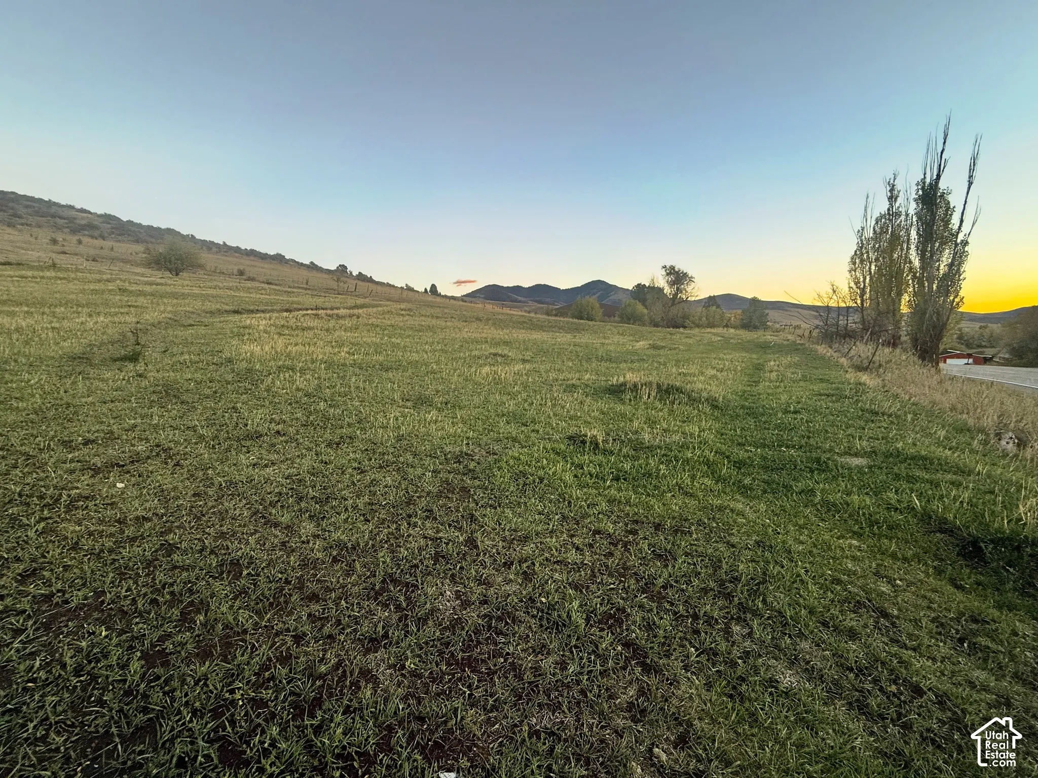 Expansive acreage featuring rolling grass terrain, mature trees, and a mountain backdrop