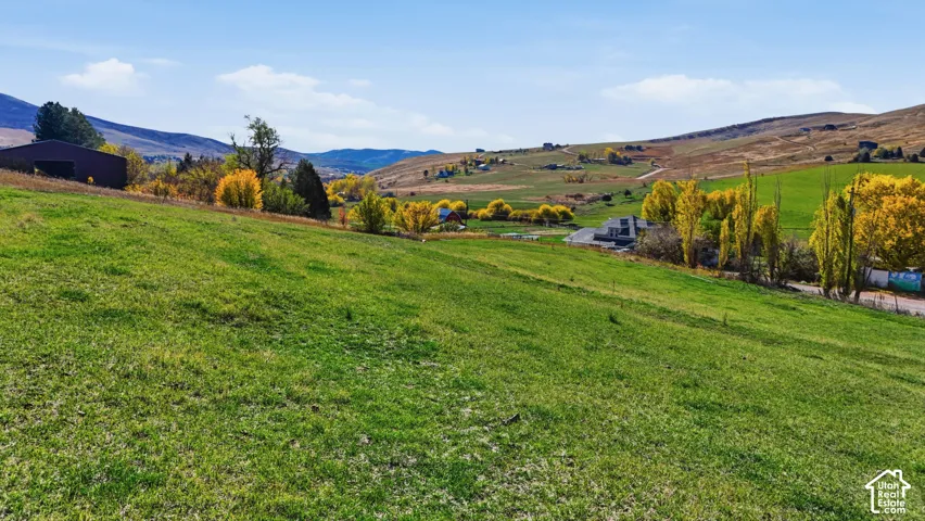 Expansive sloped acreage featuring mature trees and mountain terrain