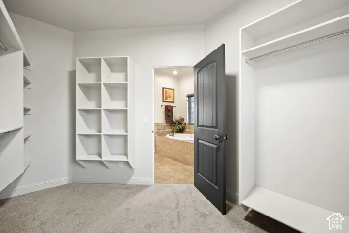 Built-in shelving, white cabinetry, carpeted flooring, and a dark paneled door