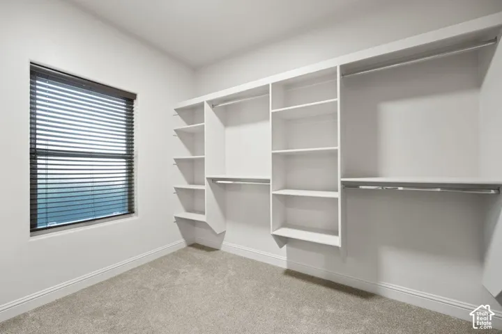 Built-in shelving, hanging rods, window with blinds, and carpeted flooring
