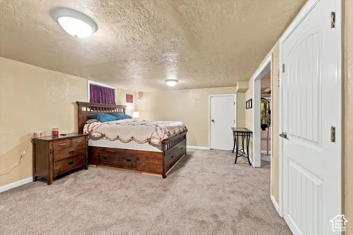 Room with neutral wall-to-wall carpeting, textured ceiling, two dome-style flush mount ceiling lights, and two interior doors