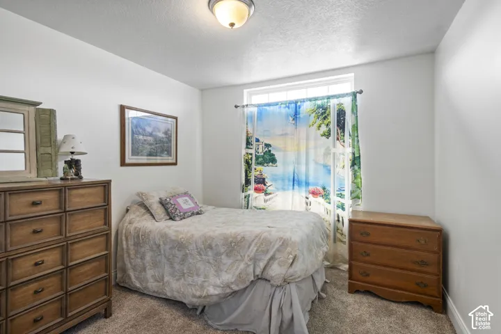 Carpeted flooring, white painted walls, and a single window