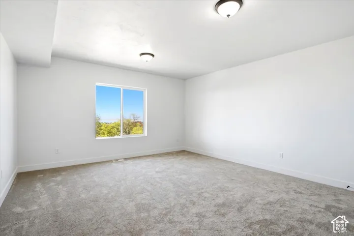 Spacious room featuring neutral carpeting, a large window, white walls, and flush-mount ceiling lighting