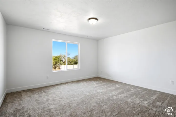 Window with a bright outdoor setting, light-toned carpet, and a ceiling-mounted light fixture