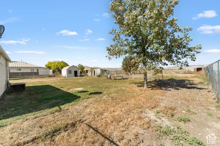 Expansive backyard featuring a mature tree, two storage sheds, and partial chain-link fencing