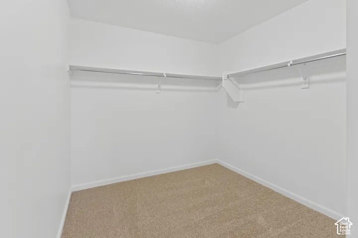 Neutral-toned carpet flooring