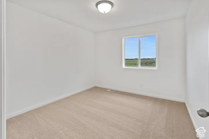 Neutral wall finishes, plush carpeting, ceiling-mounted light fixture, and a white-framed window